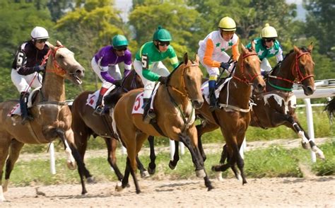 Horse Racing Safety, Rules, And Integrity: Racing Right.